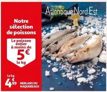 Notre sélection de poisson