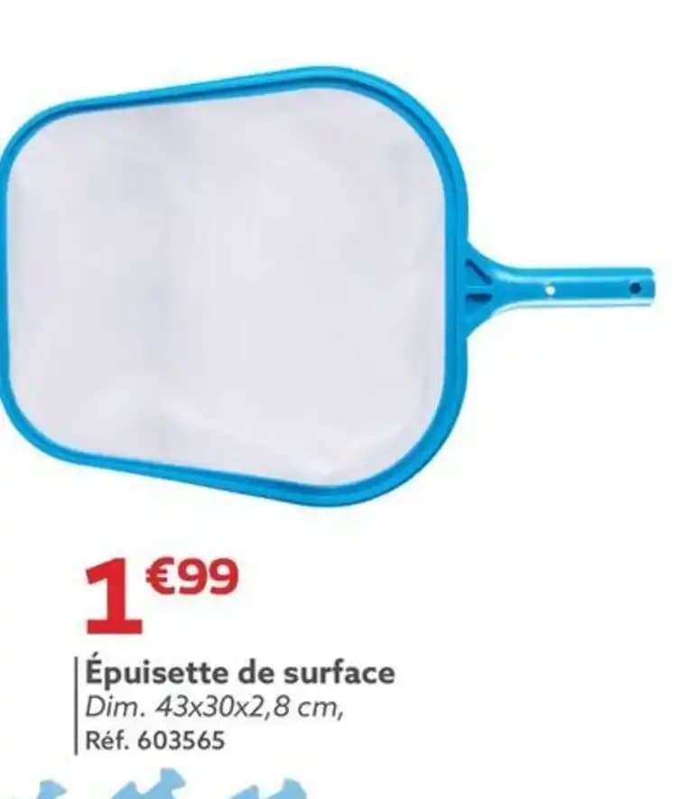 Épuisette de surface Dim. 43x30x2,8 cm,