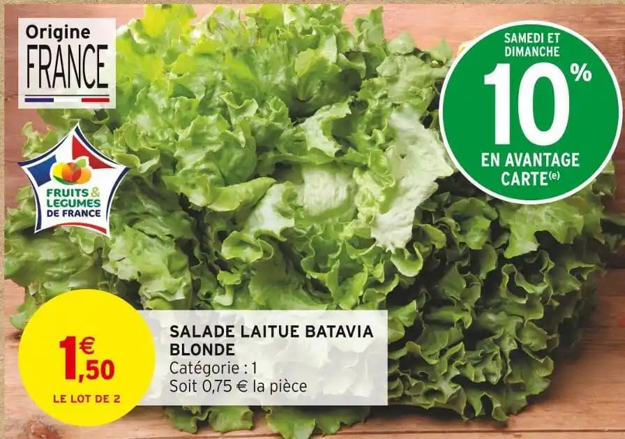 SALADE LAITUE BATAVIA BLONDE