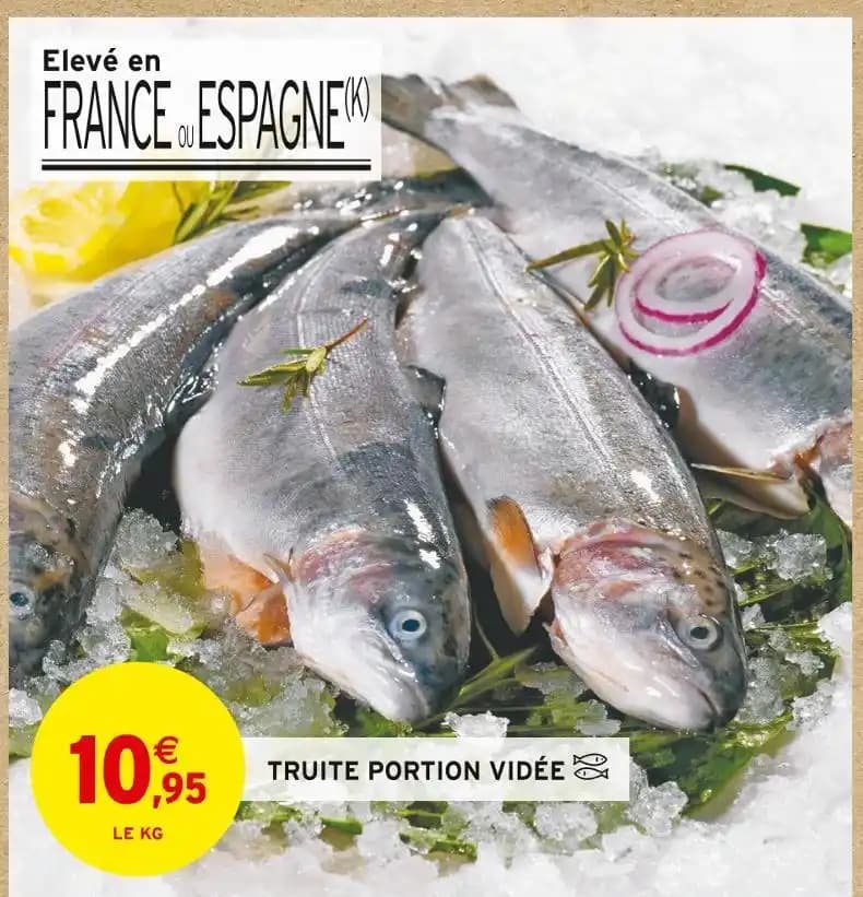 TRUITE PORTION VIDÉE