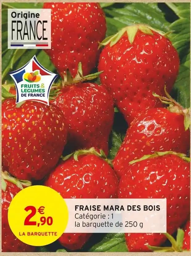 FRAISE MARA DES BOIS
