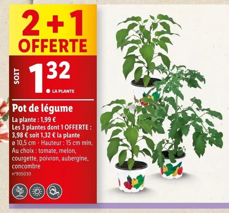 Pot de légume