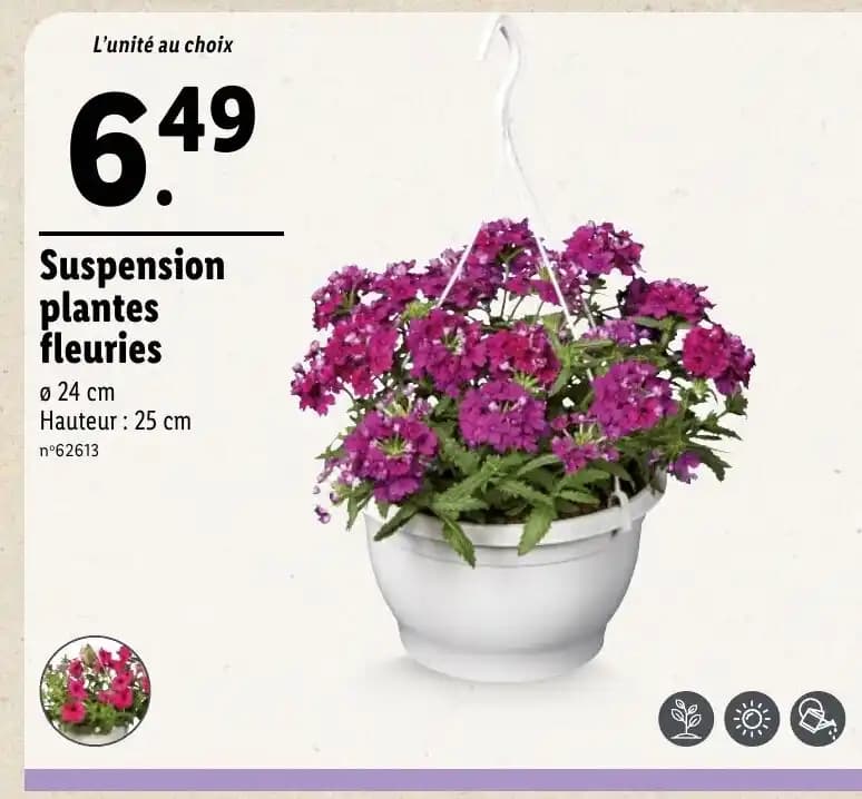 Suspension plantes fleuries