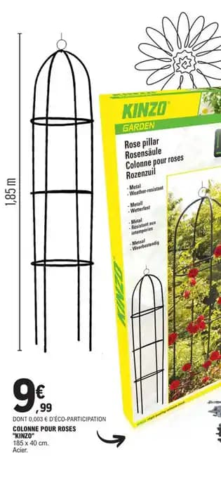 COLONNE POUR ROSES "KINZO"