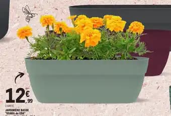 JARDINIÈRE BASSE "OSAKA de EDA"