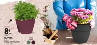 POT CAVALIER "OSAKA de EDA"