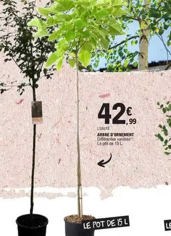 ARBRE D'ORNEMENT Différentes variétés()