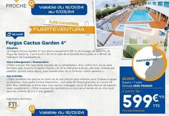 Fergus cactus garden 4