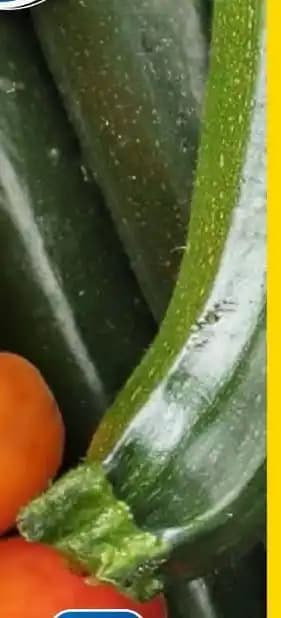 Courgette