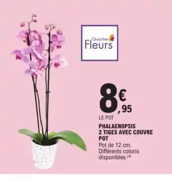 Promotion Exclusives de Couvre : Découvrez l'Offre incontournable