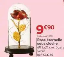 Promotion Exclusives de Sous cloche : Découvrez l'Offre incontournable