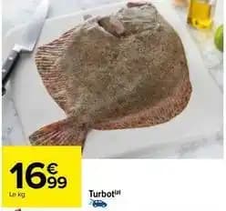Promotion Exclusives de Turbot : Découvrez l'Offre incontournable