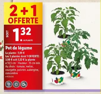 Pot de légume