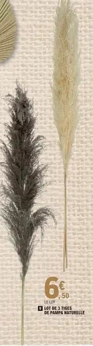 LOT DE 3 TIGES DE PAMPA NATURELLE