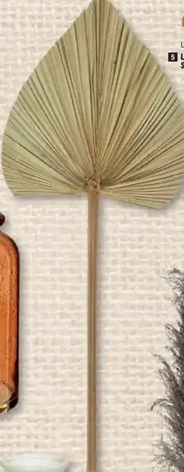 LOT DE 3 TIGES DE PALME SÉCHÉE