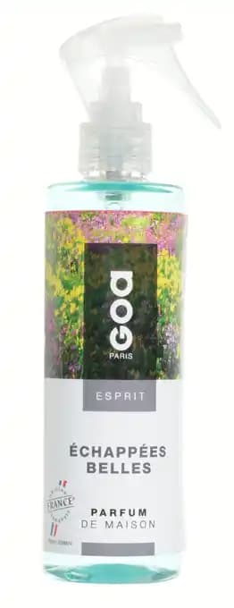 VAPORISATEUR ESPRIT 250ML ECHAPPEES BELLES