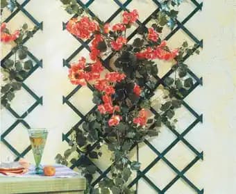 Treillis en bois vert Trelliwood FSC H200 cm