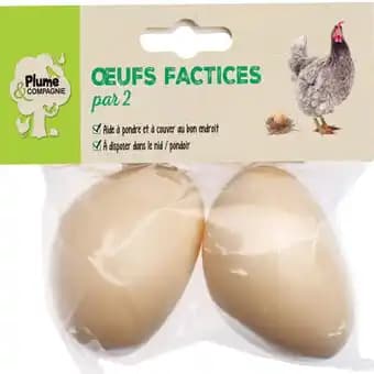 Accessoires - L.4 x l.13 x H.11 cm