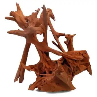 Aquavie - Racine Mangrove PM 25-30 cm