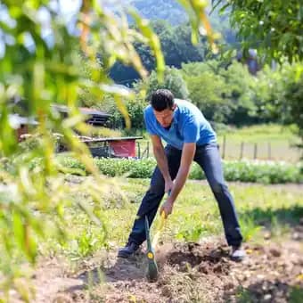 LeBorgne - Pioche de terrassier douille ronde manche Novamax 2kg