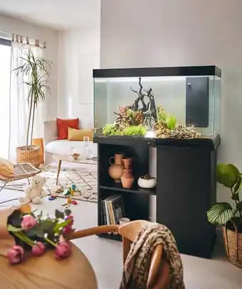 Aquarium pour poisson Tropical 120 XL noir Pure Family