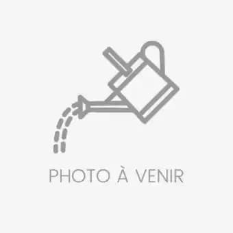 Meuble pour aquarium Noir 102 x 40 x 83 - Pure Family