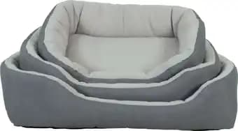 Pure family chien corbeille resp gris m