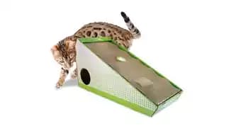 Griffoir incliné - L.48 x l.20 x H.26 cm