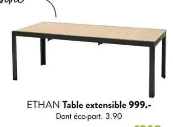 Promotion Exclusives de Ethan : Découvrez l'Offre incontournable