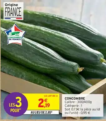 CONCOMBRE Calibre: 300/400g