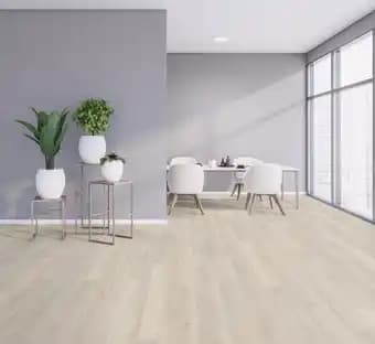 Promotion Exclusives de 9
Stratifie : Découvrez l'Offre incontournable