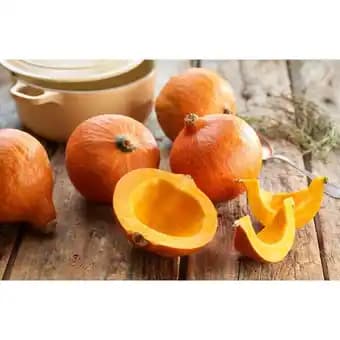 Promotion Exclusives de 53
Qualité : Découvrez l'Offre incontournable