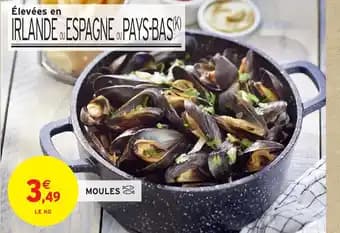 Promotion Exclusives de 12
Moules : Découvrez l'Offre incontournable