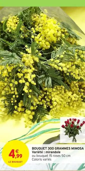 Bouquet 300 grammes mimosa