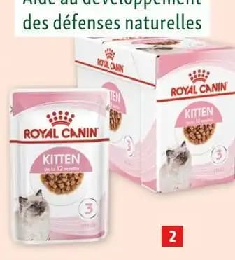 Promotion Exclusives de 80
Sauce : Découvrez l'Offre incontournable