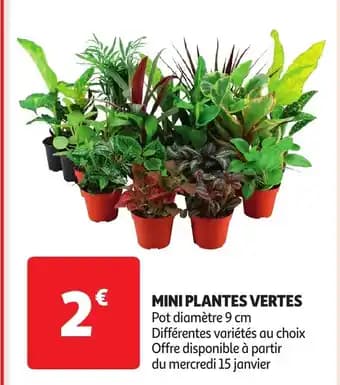 Promotion Exclusives de 6
Plantes : Découvrez l'Offre incontournable