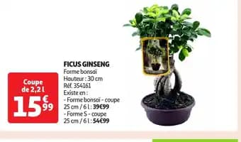 Promotion Exclusives de 2
Ginseng : Découvrez l'Offre incontournable