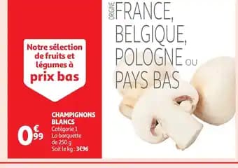 Promotion Exclusives de 1
Champignons blancs : Découvrez l'Offre incontournable