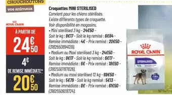 Promotion Exclusives de 26
Royal : Découvrez l'Offre incontournable