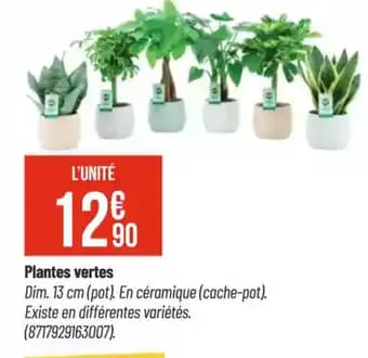 Promotion Exclusives de 4
Plantes vertes : Découvrez l'Offre incontournable