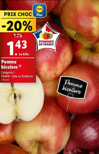 Promotion Exclusives de 3
Bicolore : Découvrez l'Offre incontournable