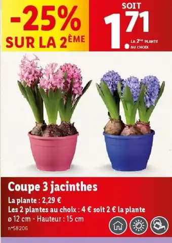 Promotion Exclusives de 25
Coupe : Découvrez l'Offre incontournable