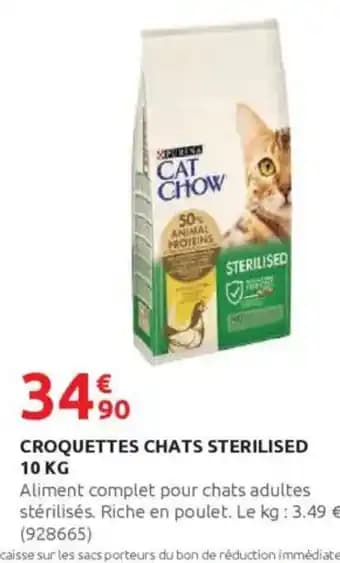 Promotion Exclusives de 12
Croquettes chats : Découvrez l'Offre incontournable