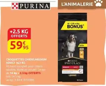 Promotion Exclusives de 4
Médium : Découvrez l'Offre incontournable