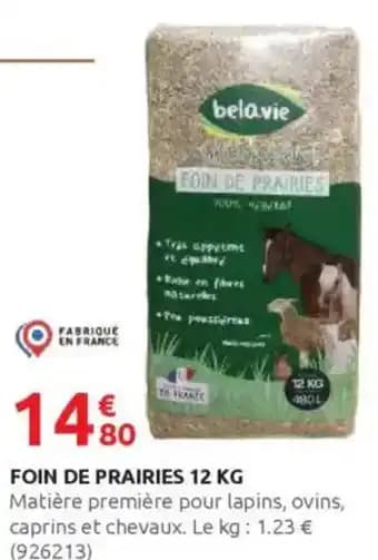 Promotion Exclusives de 1
Foin : Découvrez l'Offre incontournable