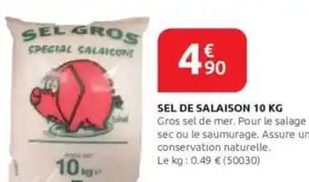 Sel de salaison 10 kg