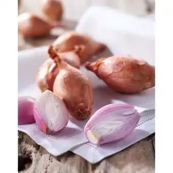 Promotion Exclusives de 74
De france : Découvrez l'Offre incontournable