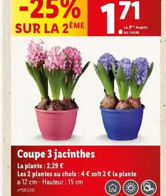 Promotion Exclusives de 32
Coupe : Découvrez l'Offre incontournable