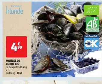Promotion Exclusives de 2
Moules de corde : Découvrez l'Offre incontournable
