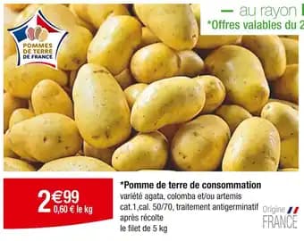 Pomme de terre de consommation